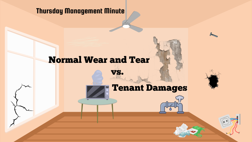 Understanding Wear and Tear vs Tenant Damage